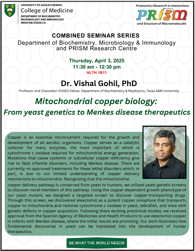 April 3 Vishal Gohil Seminar Poster